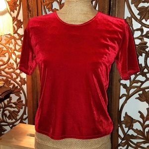 Red velvet blouse